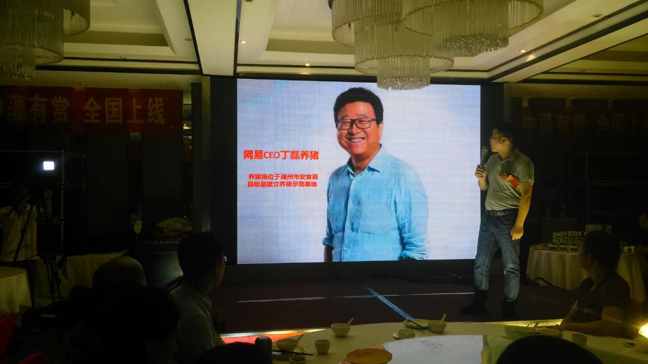 cctv螺旋藻,螺旋藻的发展前景