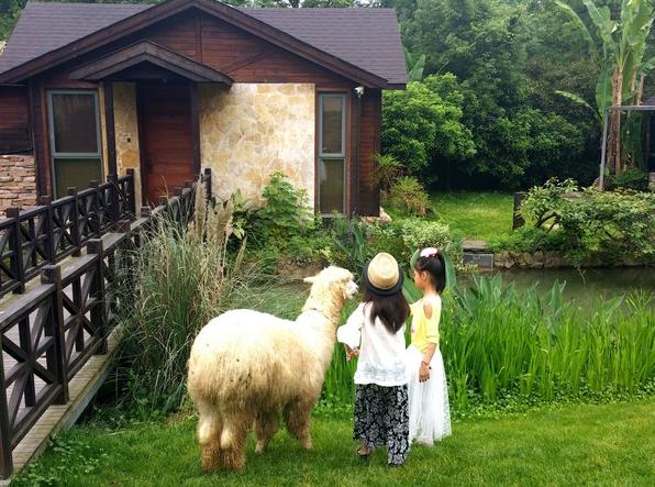 杭州热土庄园游玩攻略,杭州热土庄园位置