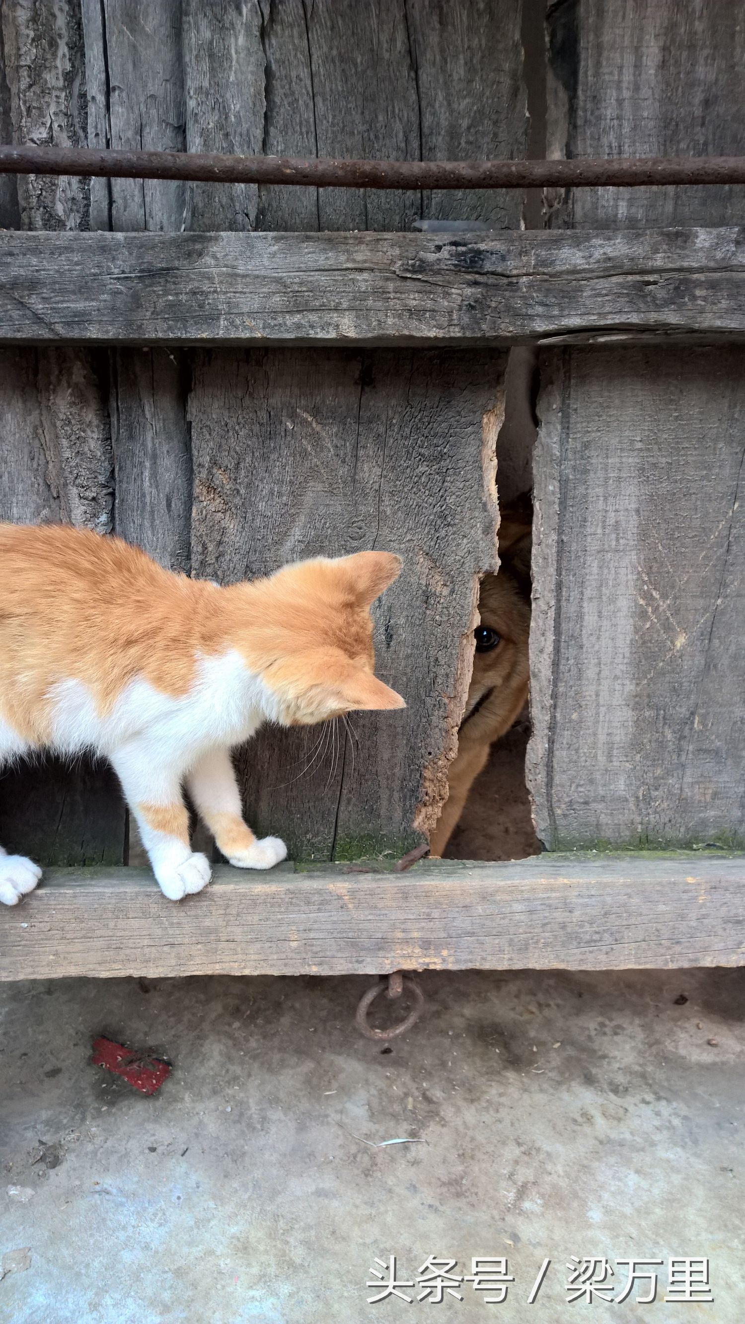 诺基亚lumia930测评,诺基亚lumia1020和930拍照对比