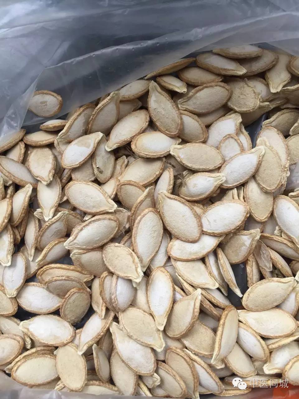 发现深圳的中草药|南瓜子，男子的“好基友”