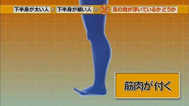 改正腿型并瘦腿,梨形腿最快瘦腿方法