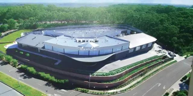 不炒楼，入境随俗找宝，白手起家的华人移民如何登上澳洲富豪榜？