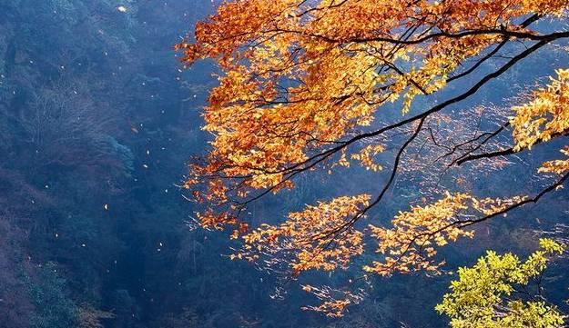四川十大最黑景点,四川最土的景点