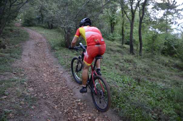 好骑的入门山地自行车测评,野兽自行车测评speedx