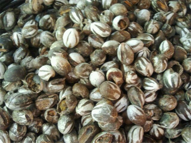 农村洋辣子的吃法大全,洋辣罐吃法