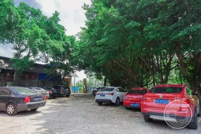 十年一道醉鹅!招央视千里寻访,食神高度赞扬!