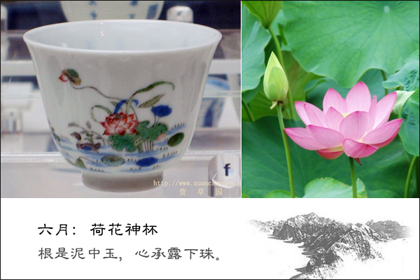 康熙五彩十二花神杯拍卖价,康熙五彩十二花神杯存世几套