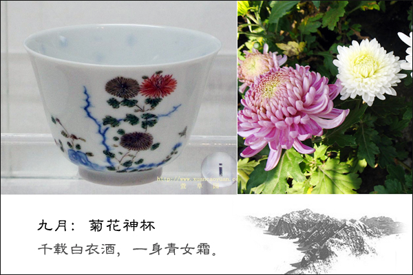 康熙五彩十二花神杯拍卖价,康熙五彩十二花神杯存世几套