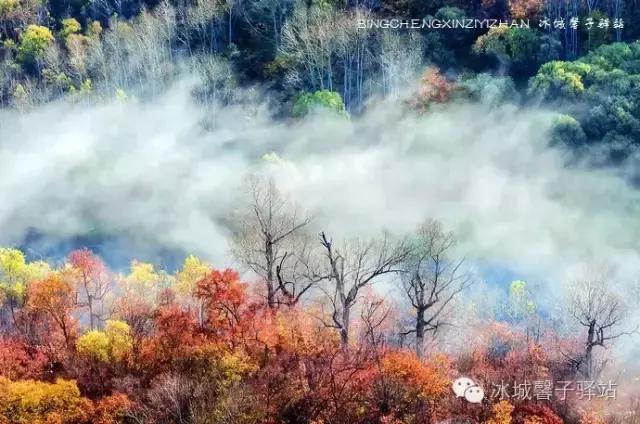 逊克半砬山,不是景区的亮丽风景!