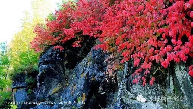 逊克半砬山,不是景区的亮丽风景!