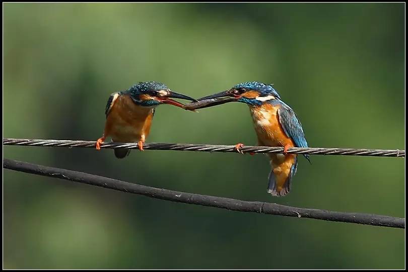 佛教参观景德镇,淄博佛教故事