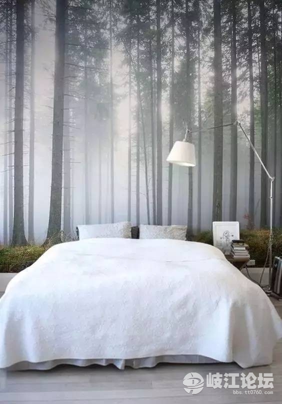 嫌白墙单调,家里墙壁太单调就试试贴点墙纸