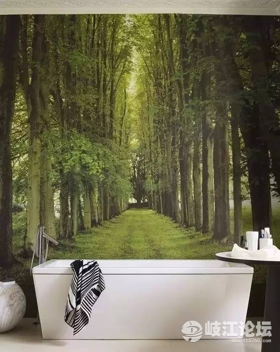 嫌白墙单调,家里墙壁太单调就试试贴点墙纸