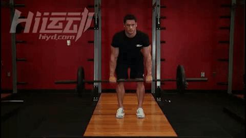 健身房20种最常规的腹肌训练,史上最全健身房攻略