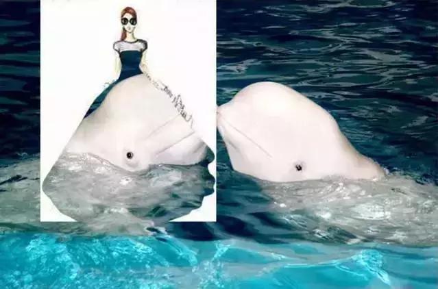 大连能成为国际知名城市吗,大连海鲜全国出名吗