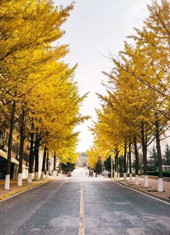 大连能成为国际知名城市吗,大连海鲜全国出名吗