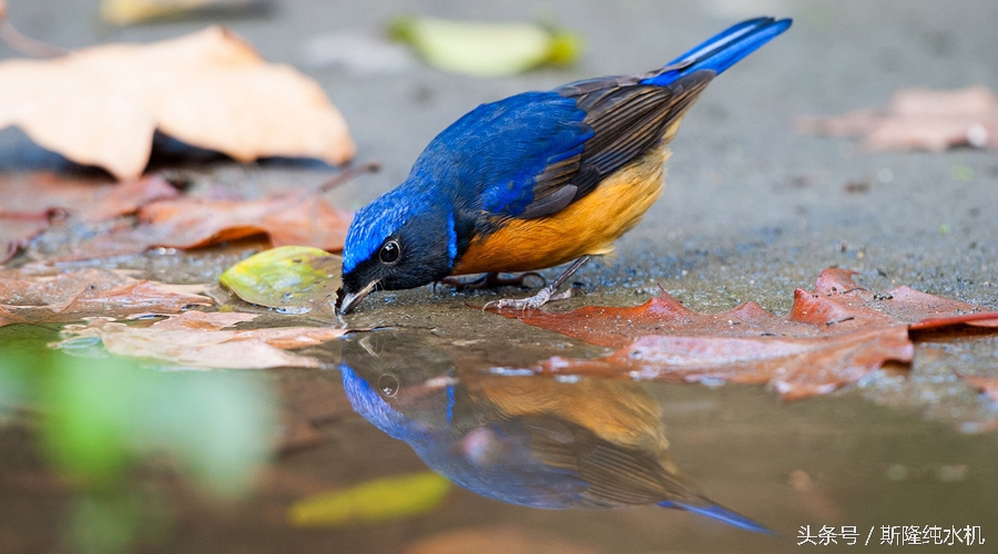 水是什么词,水用一个字怎么形容