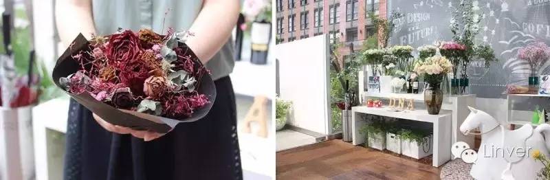 comeon网红,comeon到底是啥意思