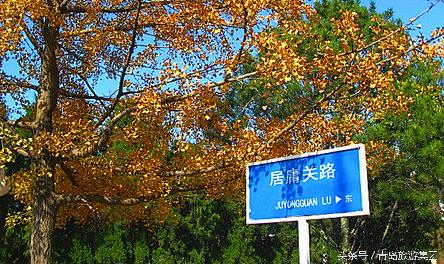 秋天来了我和爷爷奶奶逛公园,秋天八大关