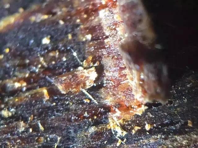 富二代为淘美女欢心,花80买一克奇楠沉香,美女看到当场说分手