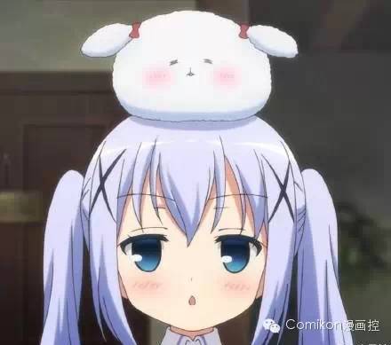 可爱猫咪戴着发箍,可爱的猫咪发箍