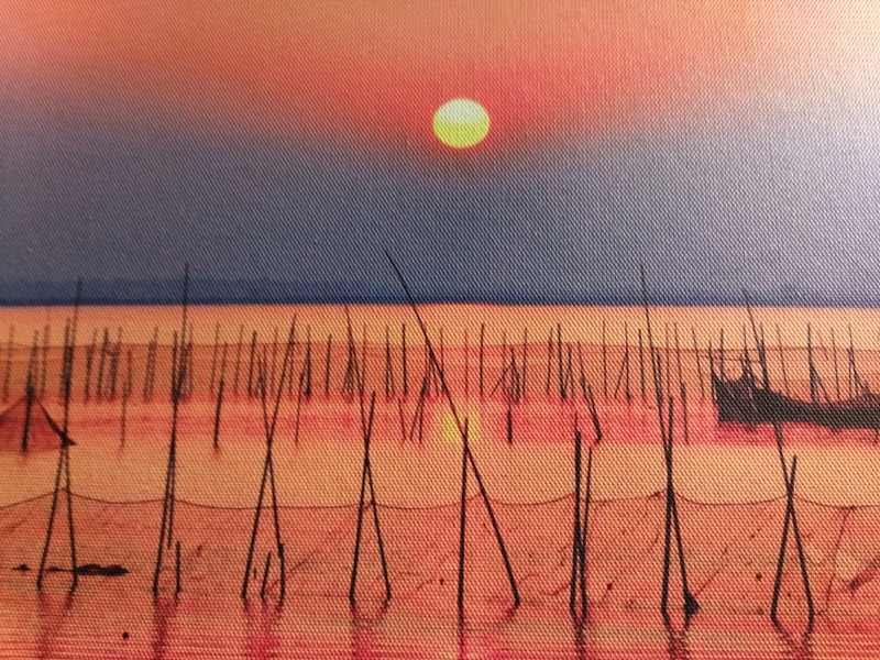 cool1dual参数,cool1dual手机