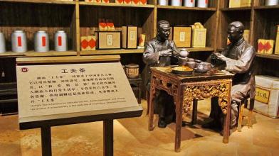 功夫茶用什么茶叶,功夫茶名称的由来