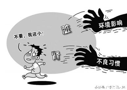 慢性肾脏病的护理诊断及措施,慢性肾病的营养治疗