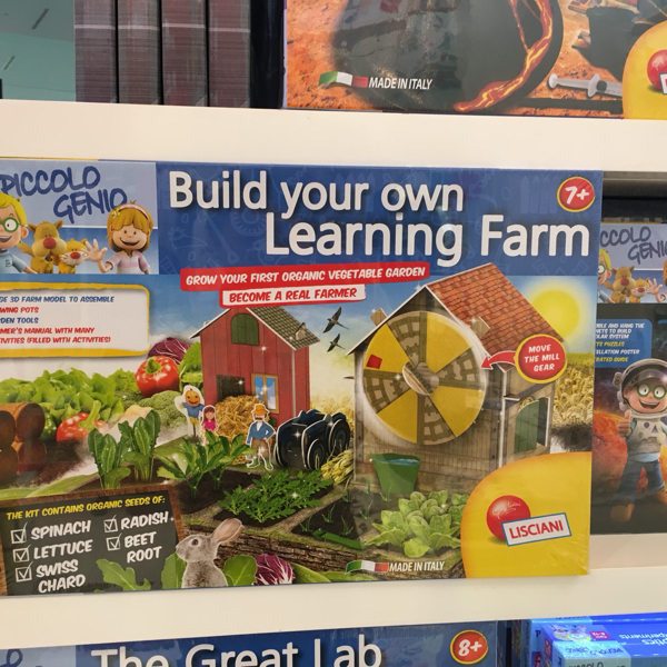 家记忆|迪拜MALL在孩子眼里的豪华:一望无际的玩具世界啊