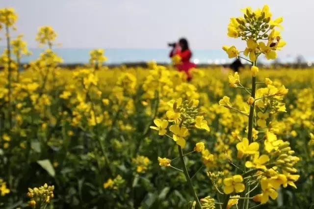 魔都平均收入排名,魔都月收入多少