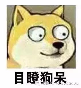 罗志祥网红女朋友,罗志祥网红事件