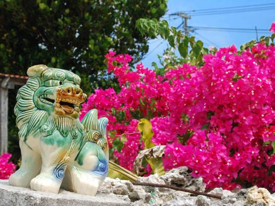 去日本旅游带多少钱合适一点,带狗狗去日本旅游要多少钱