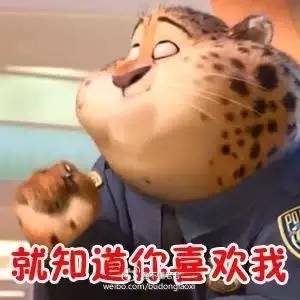 大牌底妆混干测评,混干皮大牌底妆推荐测评