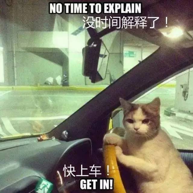 大牌底妆混干测评,混干皮大牌底妆推荐测评