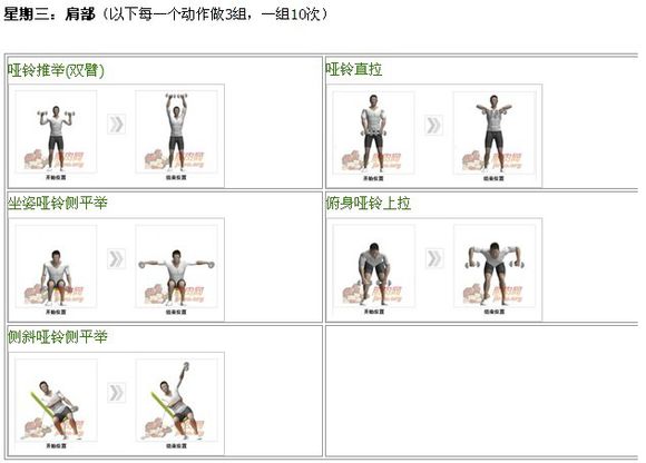 哑铃凳和哑铃健身计划,哑铃居家健身一周计划