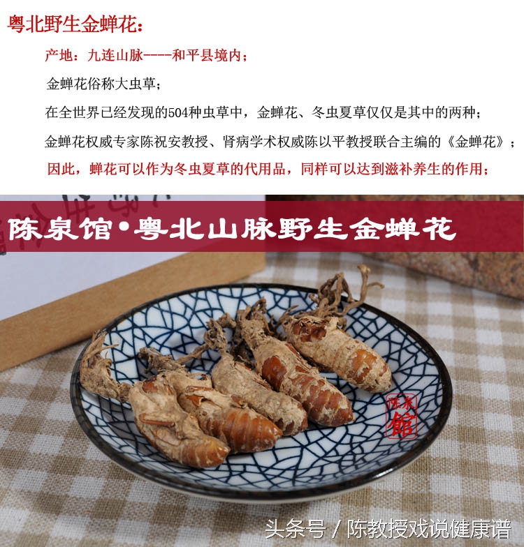 金蝉花制作过程,金蝉花怎样做粉