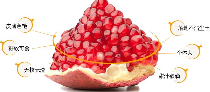 糖尿病吃哪种石榴,糖尿病人可以吃软籽石榴吗