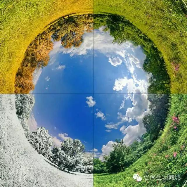 注意秋天!掉头发的高峰期来了,这可是“头”等大事。