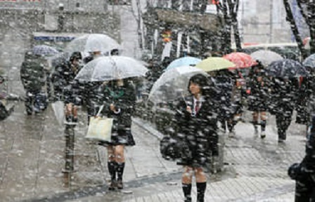 你能不能不颤抖地回答我周末有多冷？