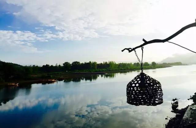 东南第一山私藏浙南最美的风情,浙江山林美宿攻略