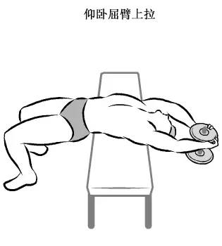 在家用哑铃锻炼背详细教学,瘦子在家哑铃锻炼全身肌肉