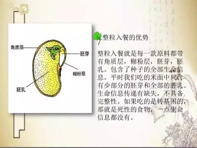 159元素食全餐合法吗,159素食全餐辟谷效果