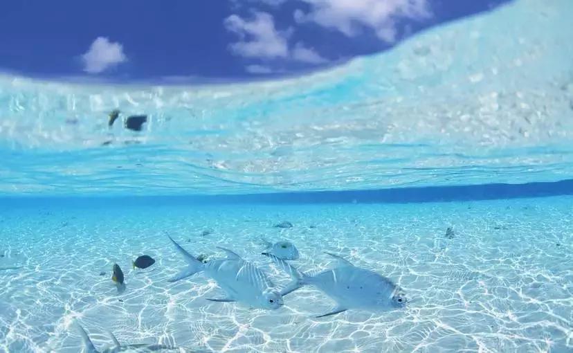 国庆佛山哪里好玩的景点适合小孩,佛山周边国庆旅游推荐好去处