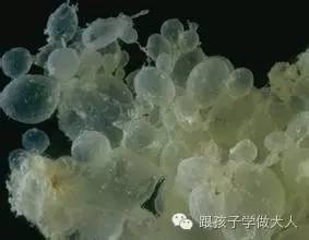 准妈妈有这3个特征,准妈妈出现这些现象