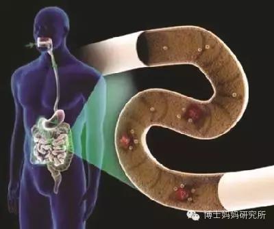 擅自用药的后果你承担的起吗？抗生素or益生菌你选对了吗？