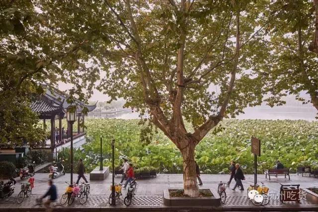 鏄熷反鍏嬩笢鍧¤倝,鏄熷反鍏嬩笢鍧¤倝鎷块搧