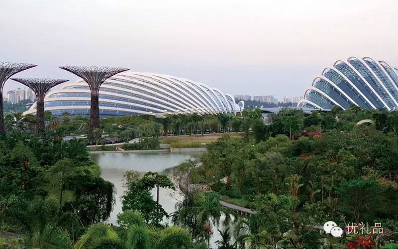 东南亚旅游必买物品清单,东南亚旅游什么东西最值得带