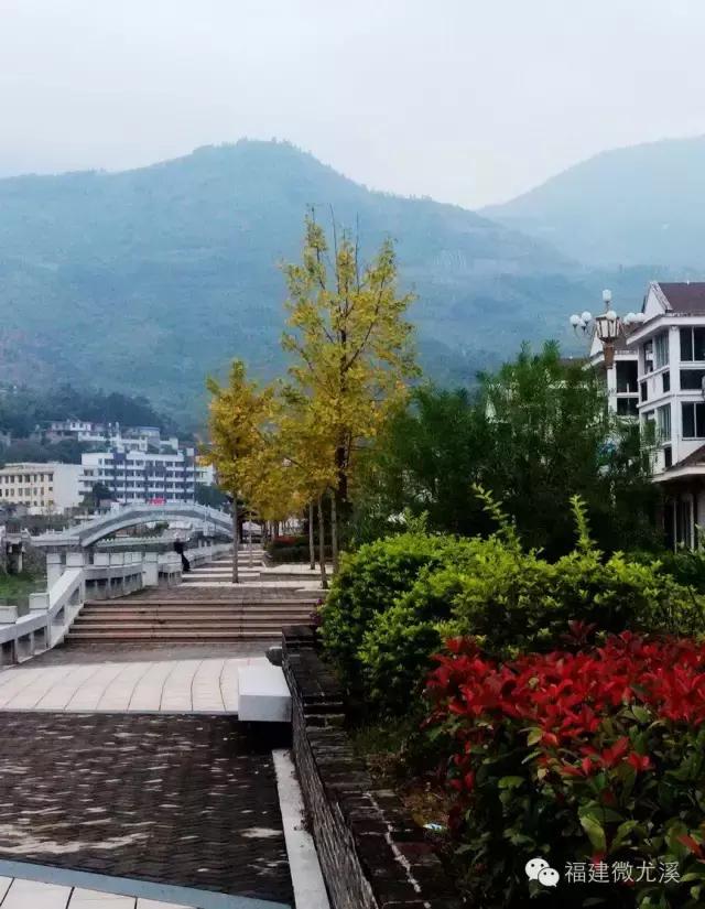 尤溪最高的山海拔多高,尤溪县海拔最高是哪座山