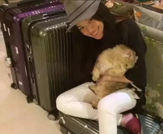 机场look红色行李箱,机场好看的行李箱颜色