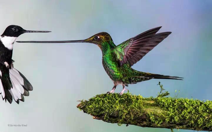 世界上最美的23张图,世界上最美的20张照片